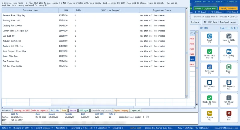 Map e-invoice items once; every month after that posts to the same BUSY items